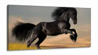 Quadro decorativo Cavalo Preto Pulando Para Sala Quarto em Tecido Canvas 130x60