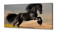 Quadro decorativo Cavalo Preto Pulando Para Sala Quarto em Tecido Canvas 130x60 - Foto 2