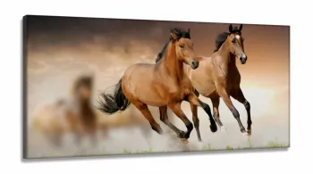 Quadro decorativo Dois Cavalos Marrons em Tecido Canvas 130x60