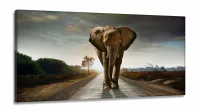 Quadro Decorativo Elefante No Caminho 130x60  em Tecido Canvas
