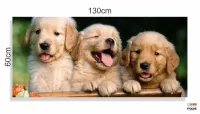 Quadro Decorativo Filhotes Cachorro 130x60 em Tecido Canvas - Foto 3