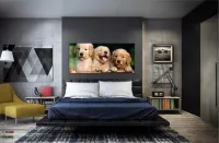 Quadro Decorativo Filhotes Cachorro 130x60 em Tecido Canvas - Foto 4