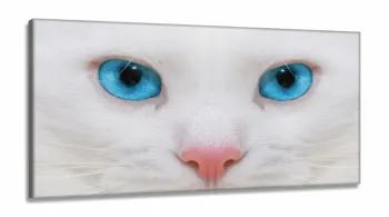 Quadro Decorativo Gato Olho Azul em Tecido Canvas 130x60