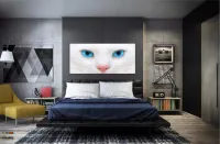 Quadro Decorativo Gato Olho Azul em Tecido Canvas 130x60 - Foto 4