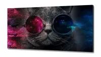 Quadro Decorativo Gato Pisicodelico Óculos em Tecido Canvas 130x60 - Foto 2