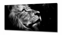 Quadro Decorativo Leão Perfil Preto E Branco em tecido canvas 130x60 Sala Quarto - Foto 2
