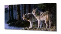 Quadro decorativo Lobos Paisagem - Artístico - Telaem Tecido Canvas 130x60 - Foto 2