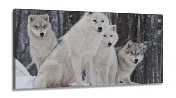 Quadro Decorativo Lobos Paisagem Com Tela em Tecido Canvas 130x60