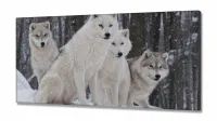 Quadro Decorativo Lobos Paisagem Com Tela em Tecido Canvas 130x60 - Foto 2