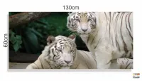 Quadro Decorativo Natureza Tigres Selvagens em Tecido Canvas 130x60 - Foto 3