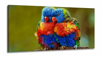 Quadro Decorativo Passaro Colorido em Tecido Canvas 130x60