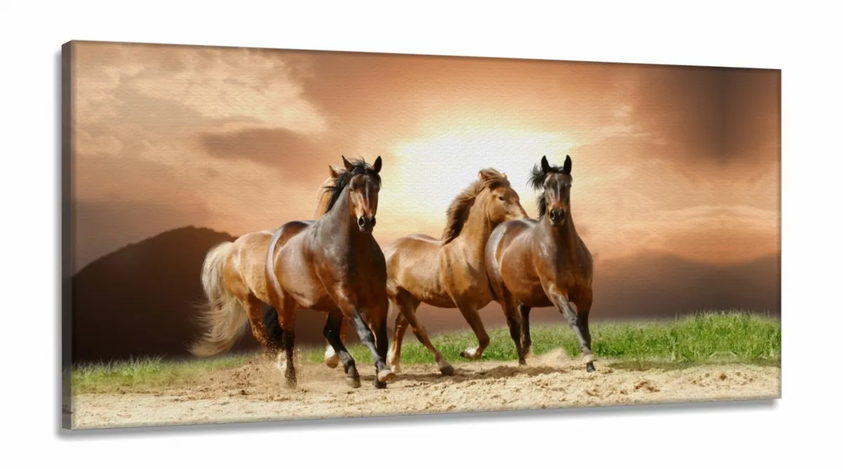 Quadro Decorativo Quatro Cavalos Hd em Tecido Canvas 130x60 Imagem