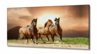 Quadro Decorativo Quatro Cavalos Hd em Tecido Canvas 130x60 - Foto 2