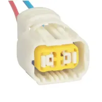Conector Plug Chicote 2 Vias Farol auxiliar Peugeot Hoggar  2009 até 2013