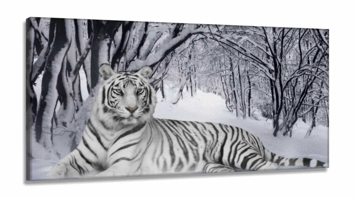 Quadro Decorativo Tigre Branco Animais Com Tela em Tecido Canvas 130x60 Imagem