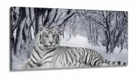 Quadro Decorativo Tigre Branco Animais Com Tela em Tecido Canvas 130x60