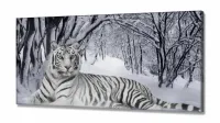 Quadro Decorativo Tigre Branco Animais Com Tela em Tecido Canvas 130x60 - Foto 2