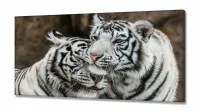 Quadro Decorativo Tigres Brancos em Tecido Canvas 130x60 Sala Quarto - Foto 2