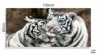 Quadro Decorativo Tigres Brancos em Tecido Canvas 130x60 Sala Quarto - Foto 3
