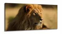 Quadro Leão na Natureza decorativo em Tecido Canvas 130x60