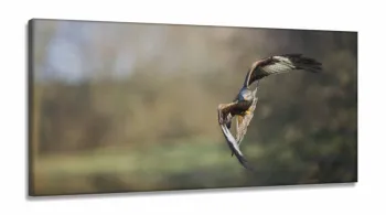 Quadro The Eagle Fly Conjunto  Águia em Tecido Canvas 130x60