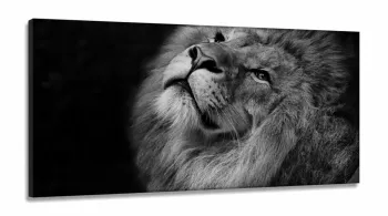 Quadros  Decorativos Leão Judá Preto Branco Quarto em Tecido Canvas 130x60