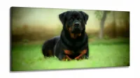 Quadros Decorativos Cachorro Rottweile em Tecido Canvas 130x60