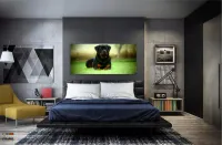 Quadros Decorativos Cachorro Rottweile em Tecido Canvas 130x60 - Foto 4