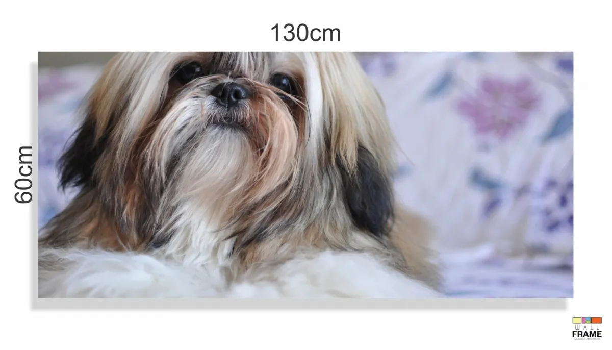 Quadros Decorativos Cachorro Shih-tzuem Tecido Canvas 130x60 Imagem
