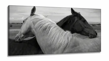 Quadros Decorativos Cavalo Preto e branco em Tecido Canvas 130x60