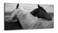 Quadros Decorativos Cavalo Preto e branco em Tecido Canvas 130x60