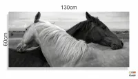 Quadros Decorativos Cavalo Preto e branco em Tecido Canvas 130x60 - Foto 3