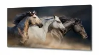 Quadros Decorativos Cavalos Country Sala em Tecido Canvas 130x60 - Foto 2
