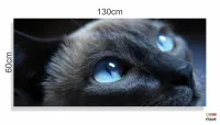 Quadros Decorativos Gato Olho Azul em Tecido Canvas 130x60 - Foto 3