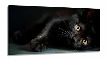 Quadros Decorativos Gato Preto em Tecido Canvas 130x60