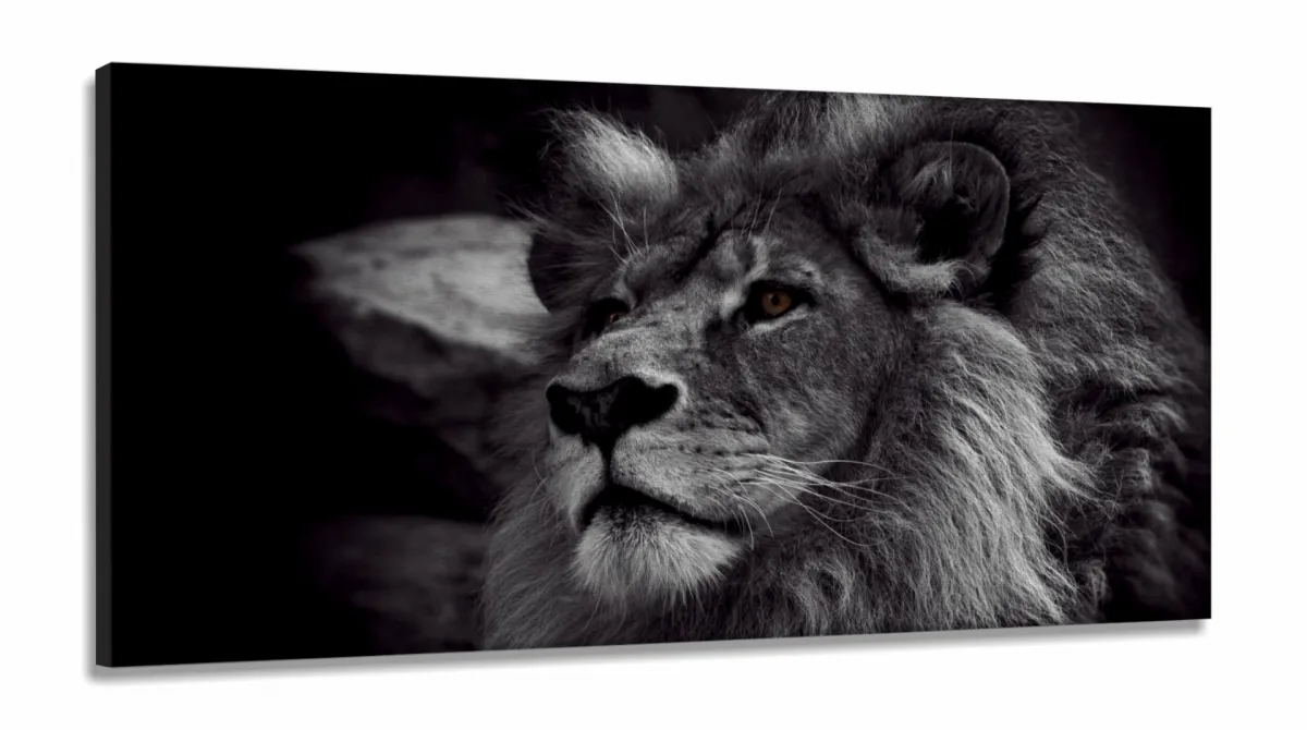 Quadros Decorativos Leão Preto E Branco em Tecido Canvas 130x60 Imagem
