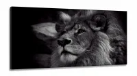 Quadros Decorativos Leão Preto E Branco em Tecido Canvas 130x60