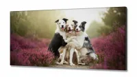 Quadros Decorativos Pet Shop Cachorros em tecido canvas 130x60 - Foto 2