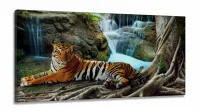 Quadros Decorativos Tigre Cachoeira Hd Quarto Sala em tecido canvas 130x60