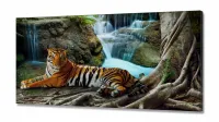 Quadros Decorativos Tigre Cachoeira Hd Quarto Sala em tecido canvas 130x60 - Foto 2
