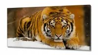 Quadros Decorativos Tigre Neve em tecido canvas 130x60 - Foto 2