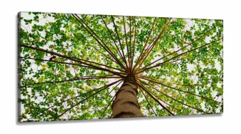Quadro Árvore Folhagem Verde Mosaico Para Sala em Tecido canvas 130x60
