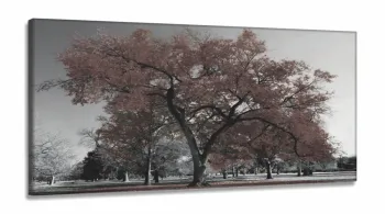 Quadro Decorativo 130x60 Sala Quarto Árvore Marrom em Tecido Canvas