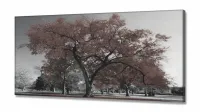Quadro Decorativo 130x60 Sala Quarto Árvore Marrom em Tecido Canvas - Foto 2