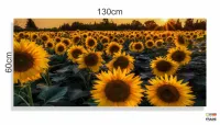 Quadro Decorativo Campo de Girasol em Tecido Canvas 130x60 - Foto 3