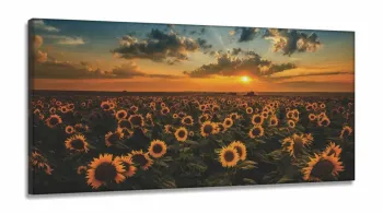 Quadro Decorativo Campo De Girassóis Entardecer em Tecido Canvas  130x60