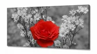 Quadro Decorativo Flor Vermelha Mosaico em Tecido Canvas 130x60 - Foto 2