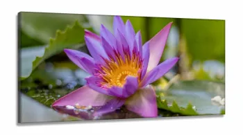 Quadro decorativo Flores - Paisagem Natureza - em Tecido Canvas 130x60