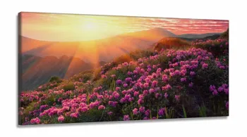 Quadro Decorativo Flores Por Do Sol Hd 130x60 em Tecido Canvas  Quarto Sala