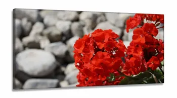 Quadro Decorativo Flores Vermelha Sala Em Tecido 130x60 em Tecido Canvas